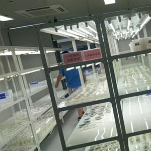 人工气候养虫室